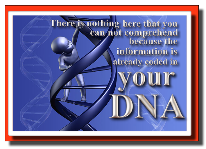 COMPREHENDING